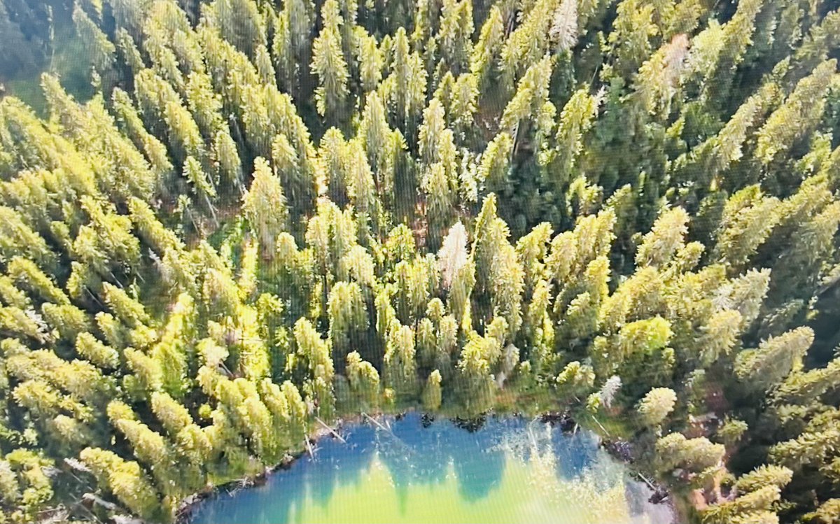 Elga Marzou tweet media