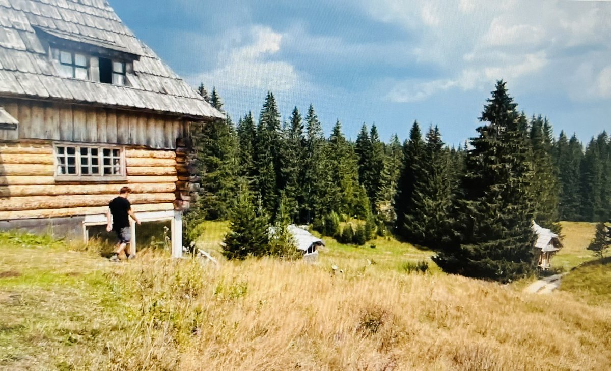 Elga Marzou tweet media