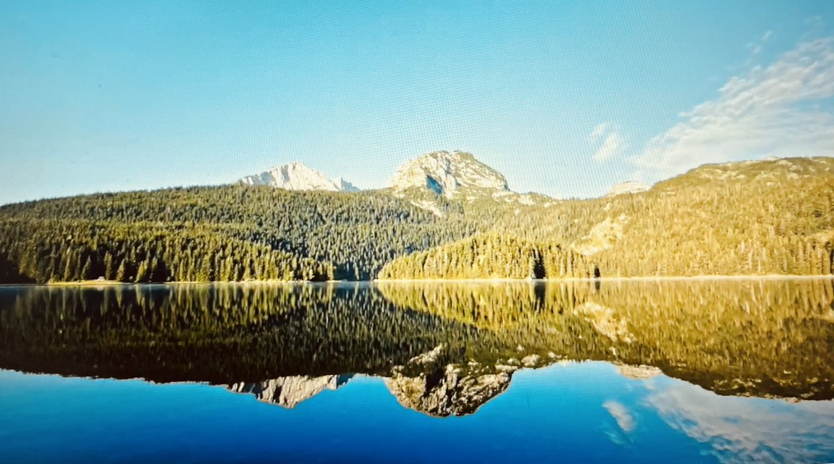 Elga Marzou tweet media