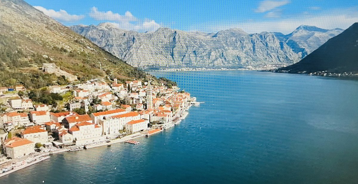 Elga Marzou tweet media