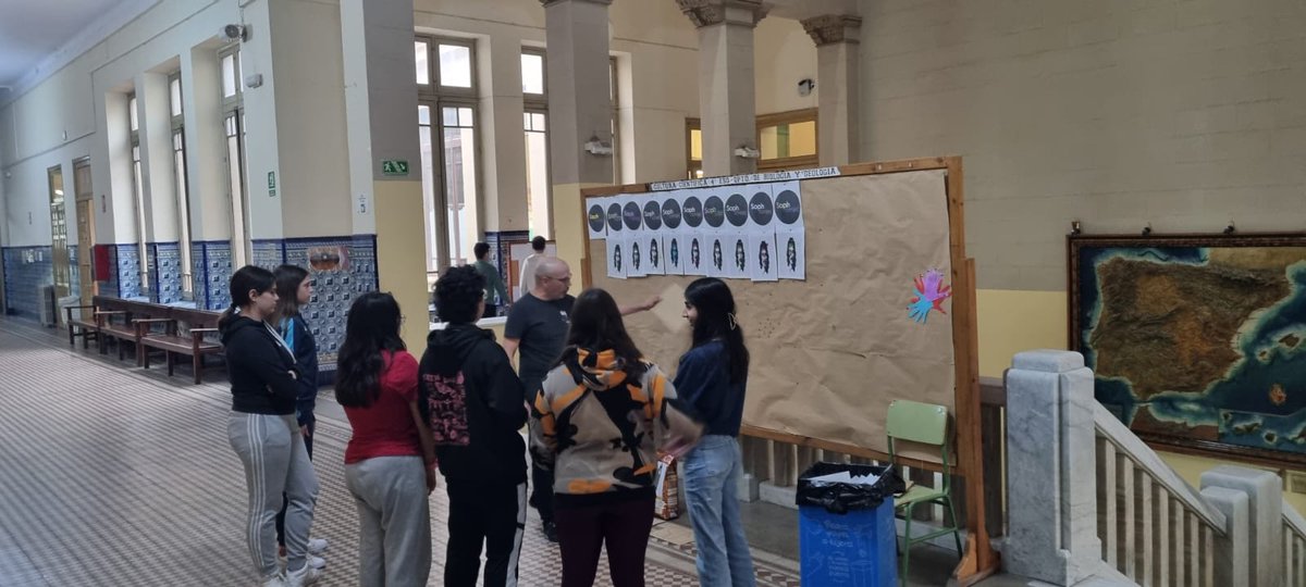 IES Bachiller Sabuco tweet media