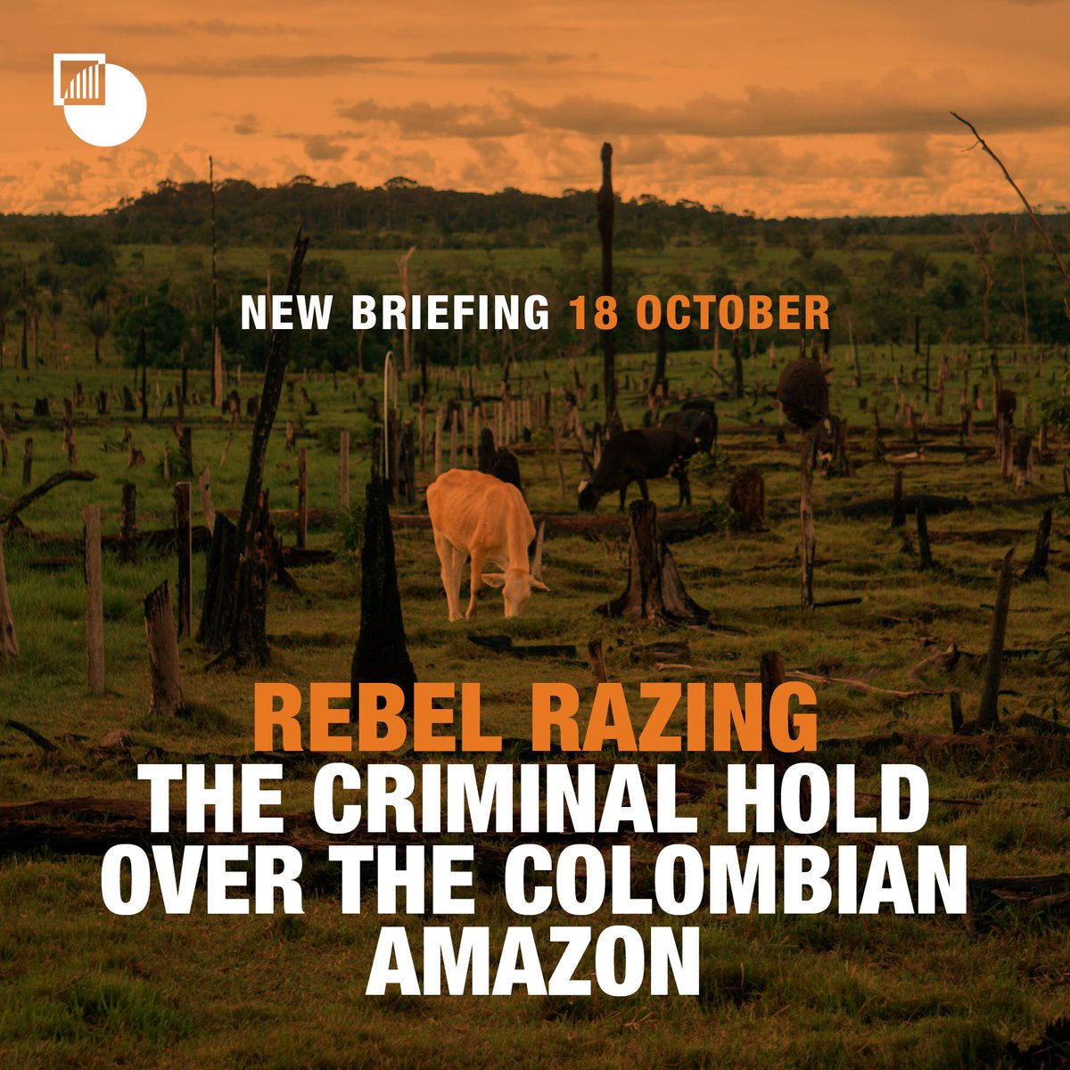 Bram Ebus (@bramebus) on Twitter photo In 2022 and 2023, armed groups proved to be a major force in curbing deforestation in Colombia. But this year, they've also shown an alarming capacity to escalate.
What are the repercussions as Colombia prepares to host #COP16?
This Friday, together with <a href="/dickinsonbeth/">Elizabeth Dickinson</a> 🌳🪓🇨🇴 In 2022 and 2023, armed groups proved to be a major force in curbing deforestation in Colombia. But this year, they've also shown an alarming capacity to escalate.
What are the repercussions as Colombia prepares to host #COP16?
This Friday, together with <a href="/dickinsonbeth/">Elizabeth Dickinson</a> 🌳🪓🇨🇴