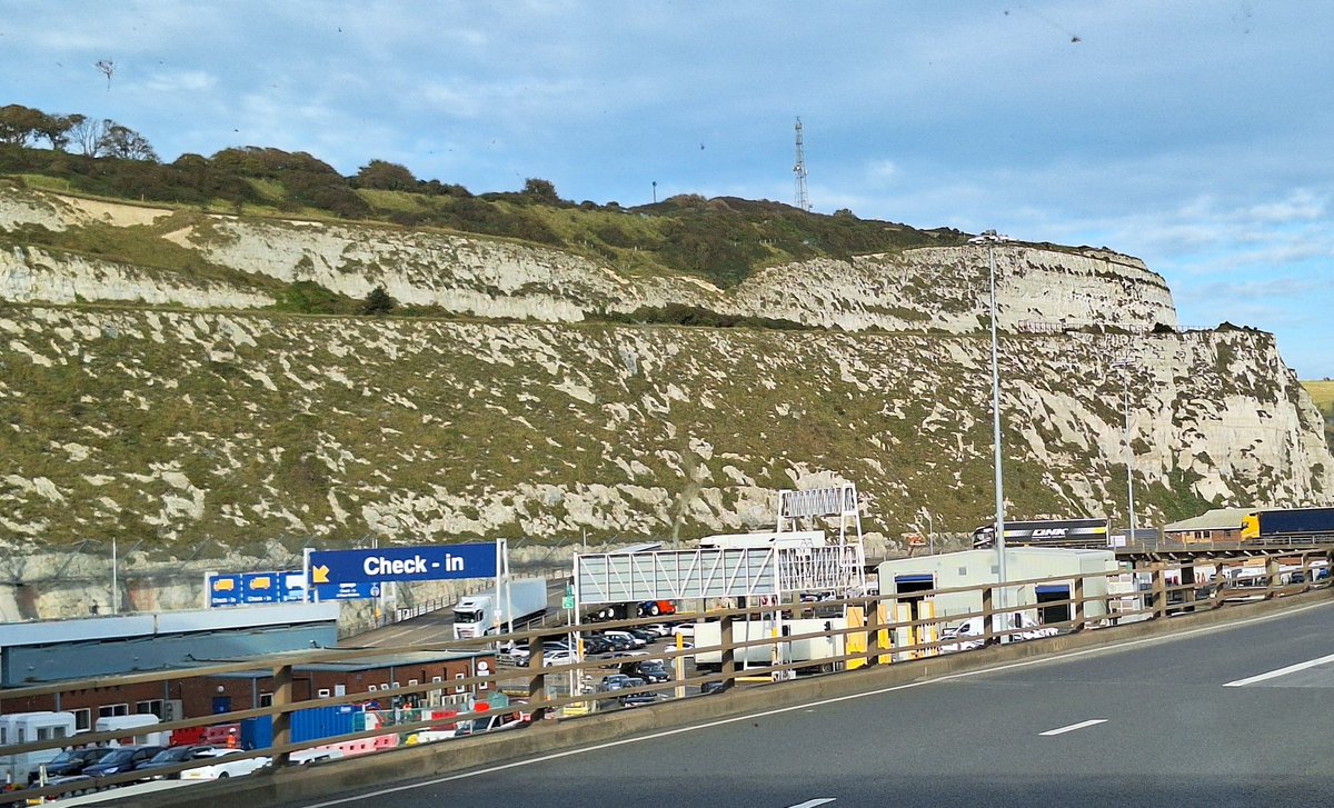 History Department tweet media