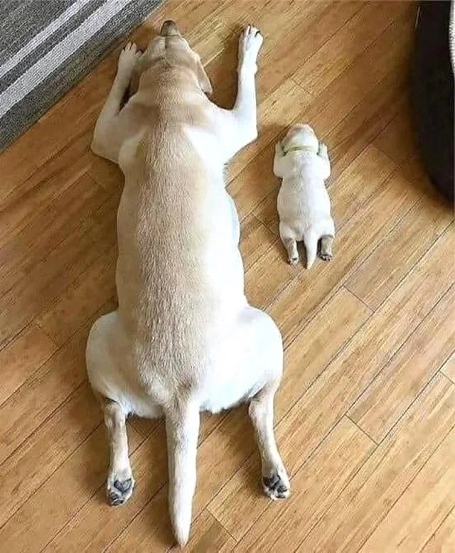 Father and his son