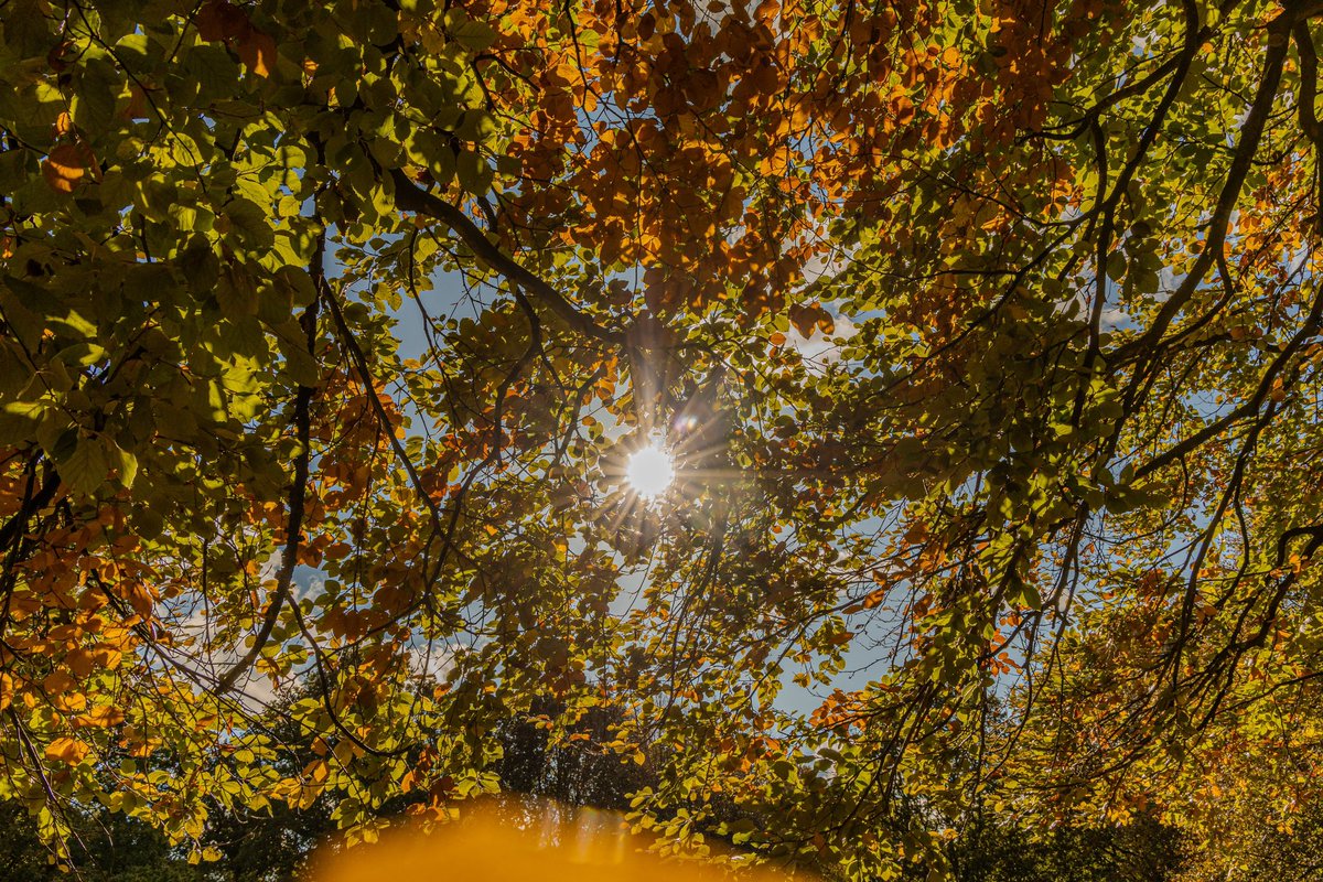 RyanWildlife's tweet photo. It’s that kind of season🍂👻 https://t.co/1T2bkn2Pj6