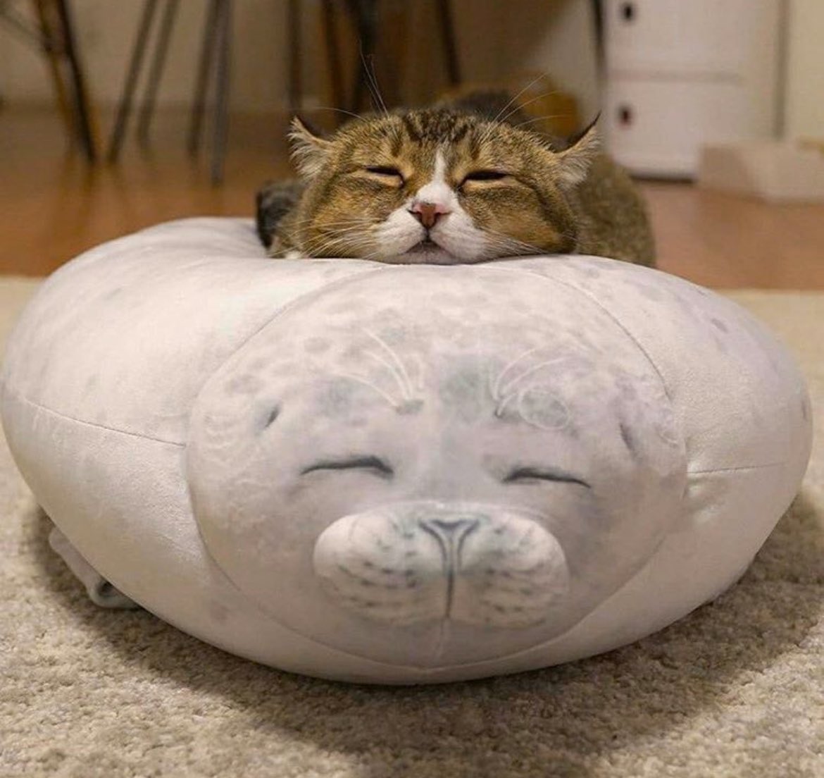 Post 1846566051167002669's image, 1 of 4