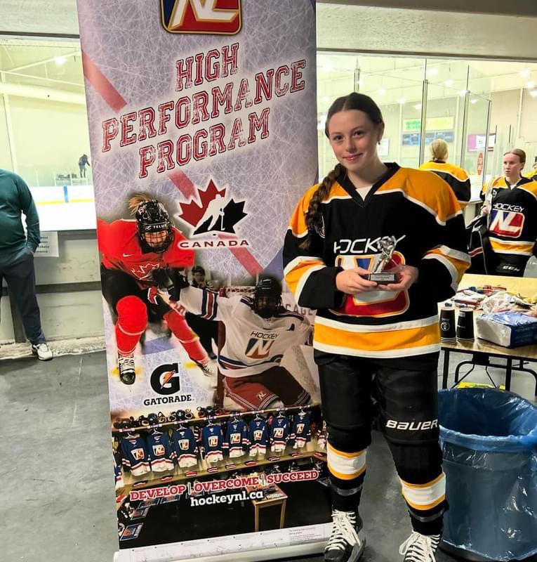 Waterford Valley Girls Hockey tweet media