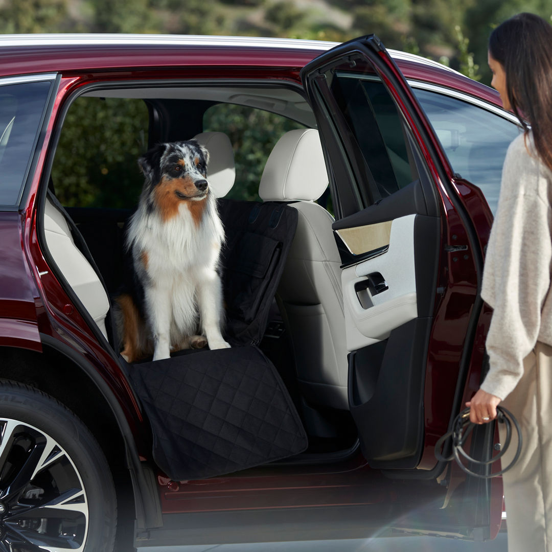 Be part of a community that celebrates driving passion. With Mazda, you’re not just buying a car; you’re joining a family. #MazdaFamily #DriveTogether #MazdaCommunity