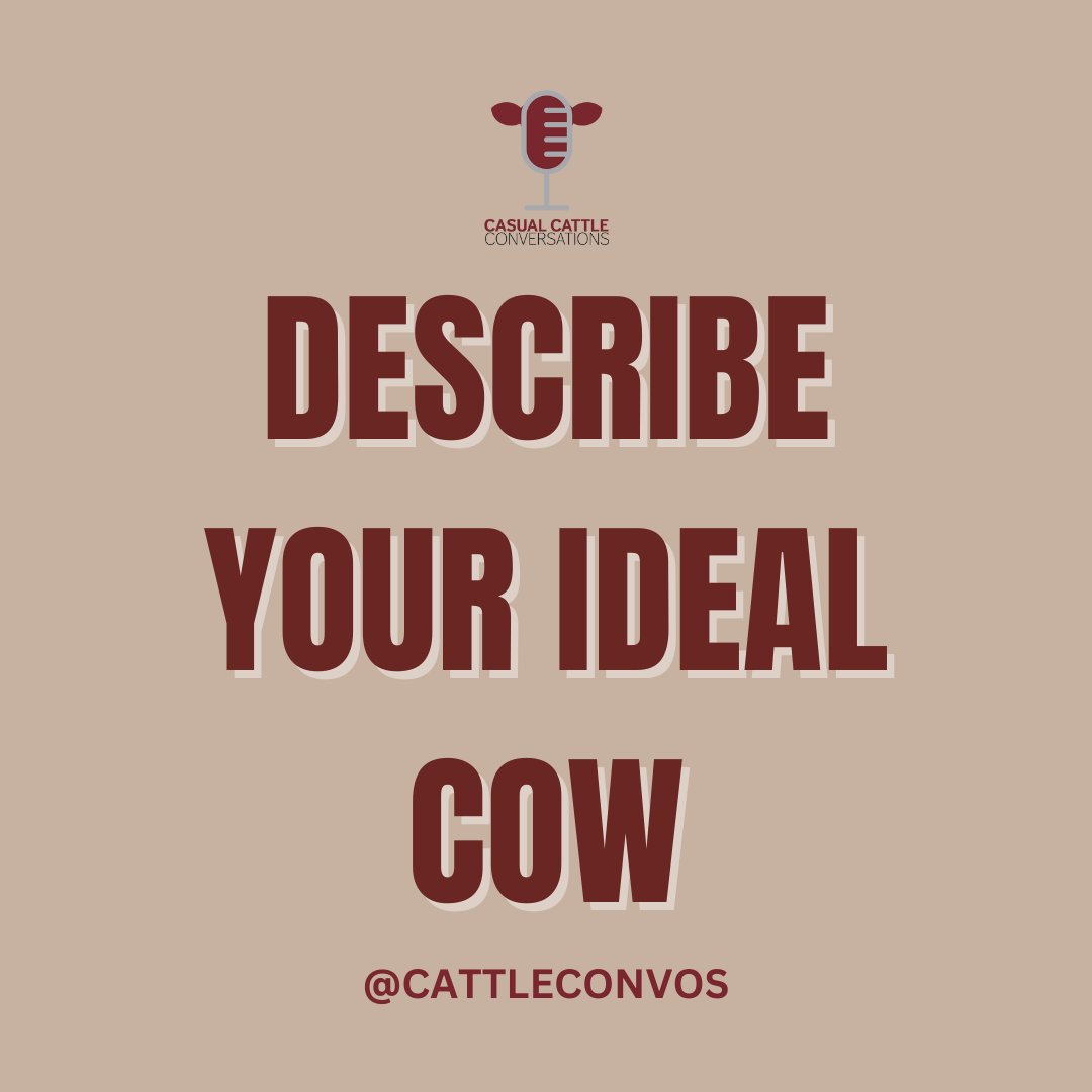 You have 5 words – describe your ideal cow!