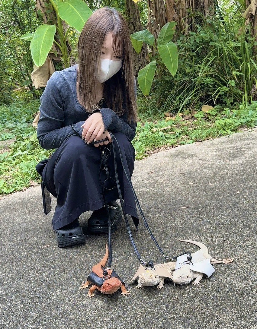 shirusupi's tweet photo. トカゲを散歩させる女 https://t.co/4e378NV24w