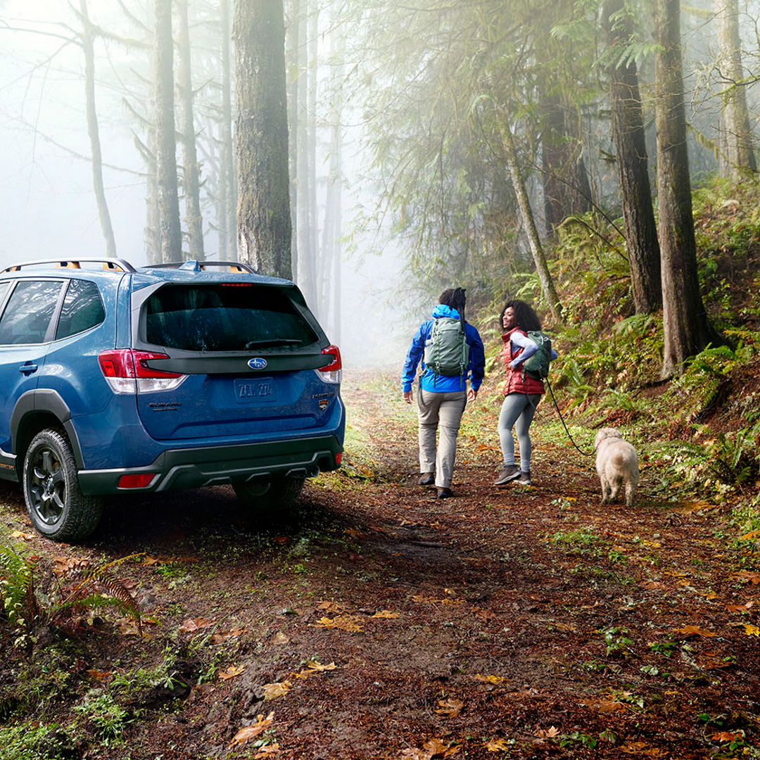 Circle Subaru tweet media