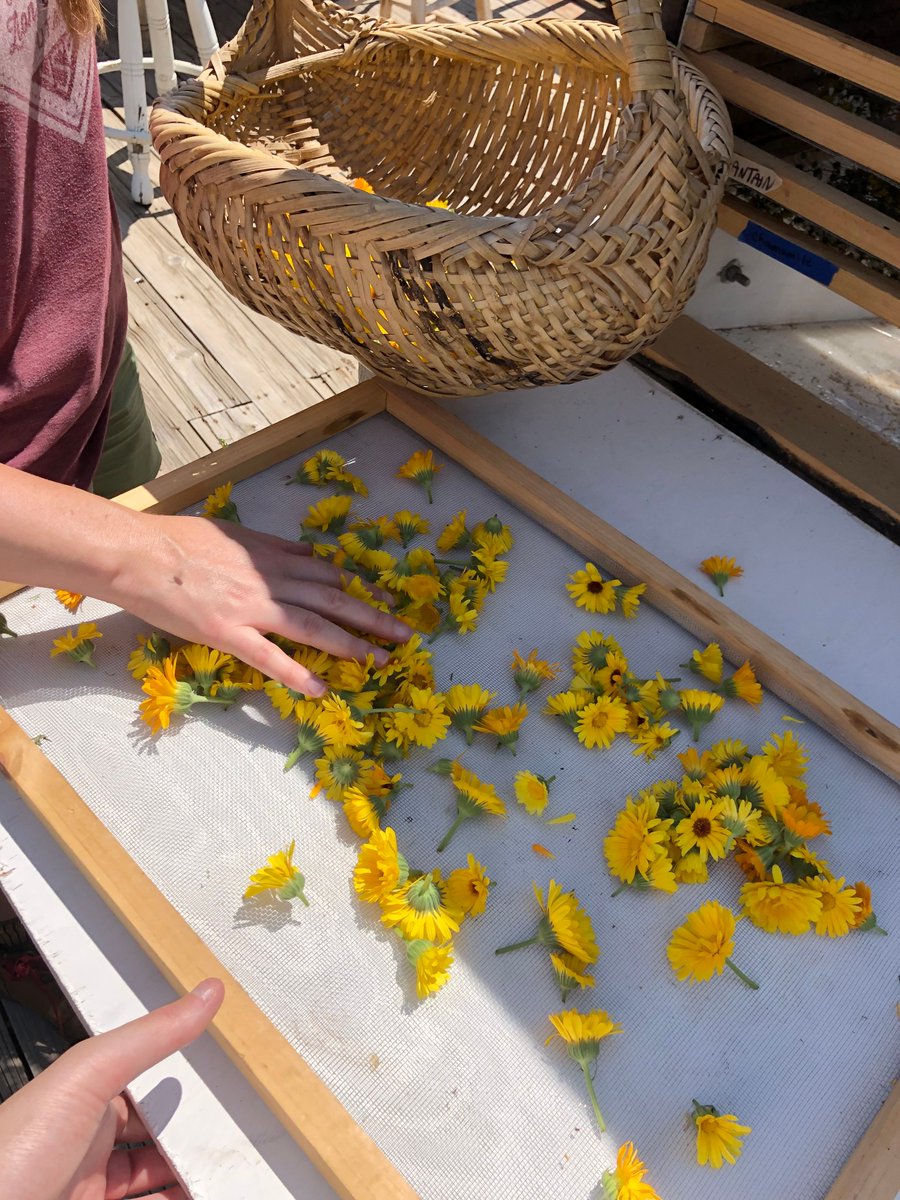 🌾 Happy World Food Day! 🌍  This fall, we hosted multiple farm tours across Colorado, showcasing the work of local producers dedicated to regenerative practices. Together, we're growing a healthier future from the ground up. 🌿🚜

#WorldFoodDay #RegenerativeAgriculture