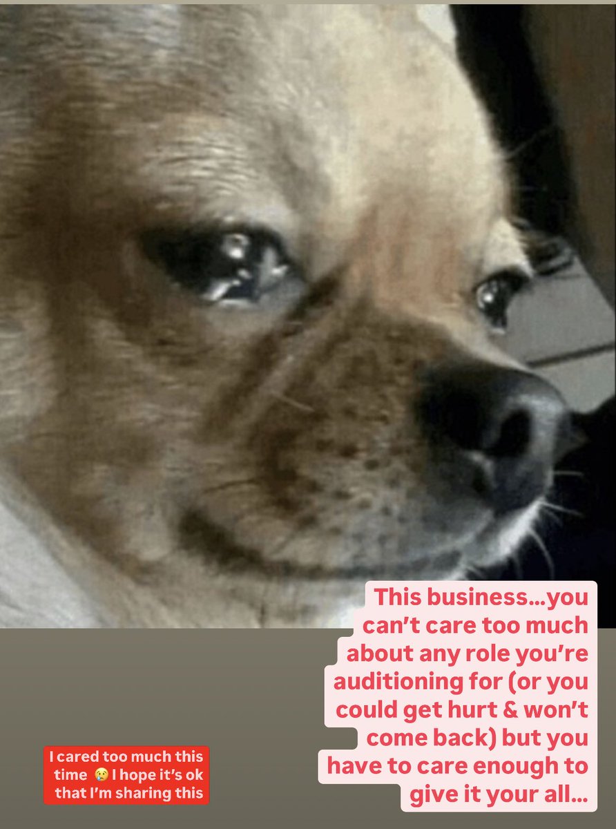 hamstertalk's tweet photo. https://t.co/63nYeeLGKc
