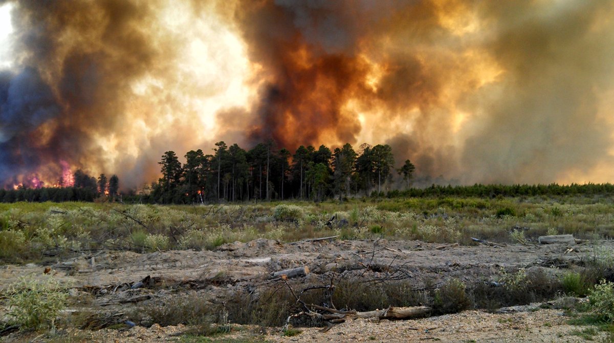 ARForestryDiv's tweet image. 🚨We are urging Arkansans to stay alert as #wildfiredanger has increased significantly across the state. 

Current Situation: 64 counties have been designated as high risk for wildfire, 11 counties as moderate risk for wildfire, and burn bans are in effect for 52 counties.

#ARWx
