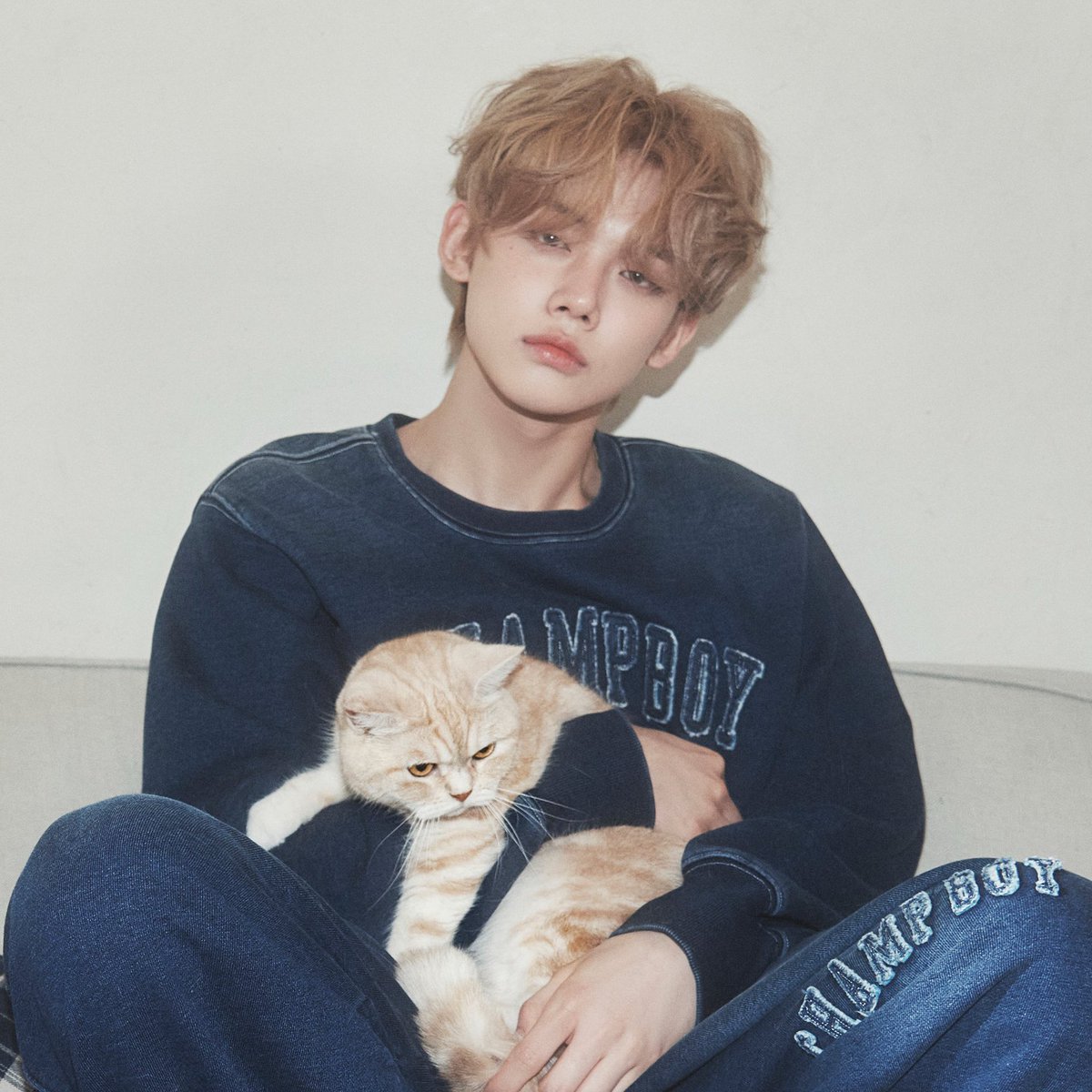 kittyyjunnie's tweet photo. 🐈🐈🐈🐈🐈🐈🐈🐈🐈🐈🐈🐈🐈🐈🐈🐈🐈 https://t.co/8jhS6UMFJl