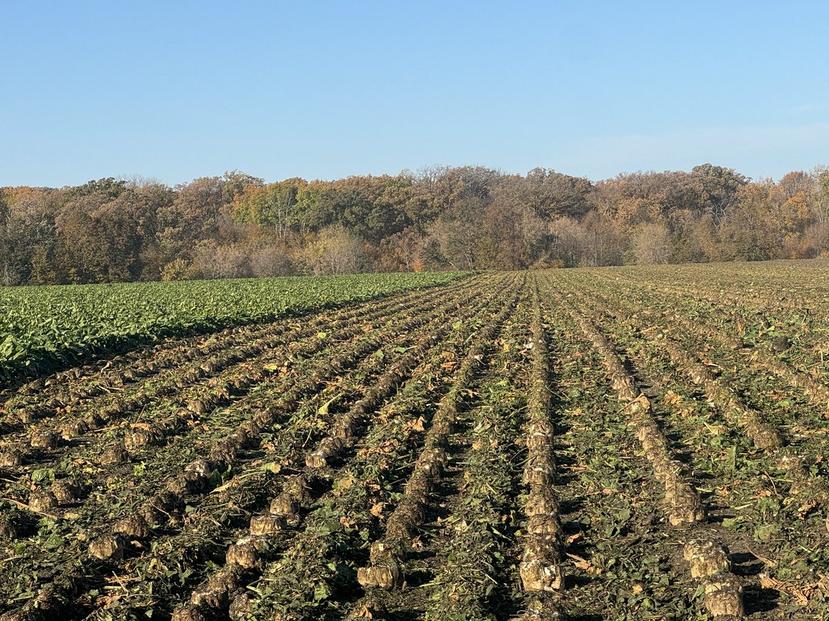 Scott Knutson tweet media