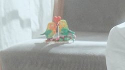 L0VELYBEOMIE's tweet photo. the details i am sobbing 😭😭😭 THEY GAVE BEOMGYU LEGO PARROTS!!! 😭😭😭 no wonder it’s his favorite https://t.co/xYLgdUARVs