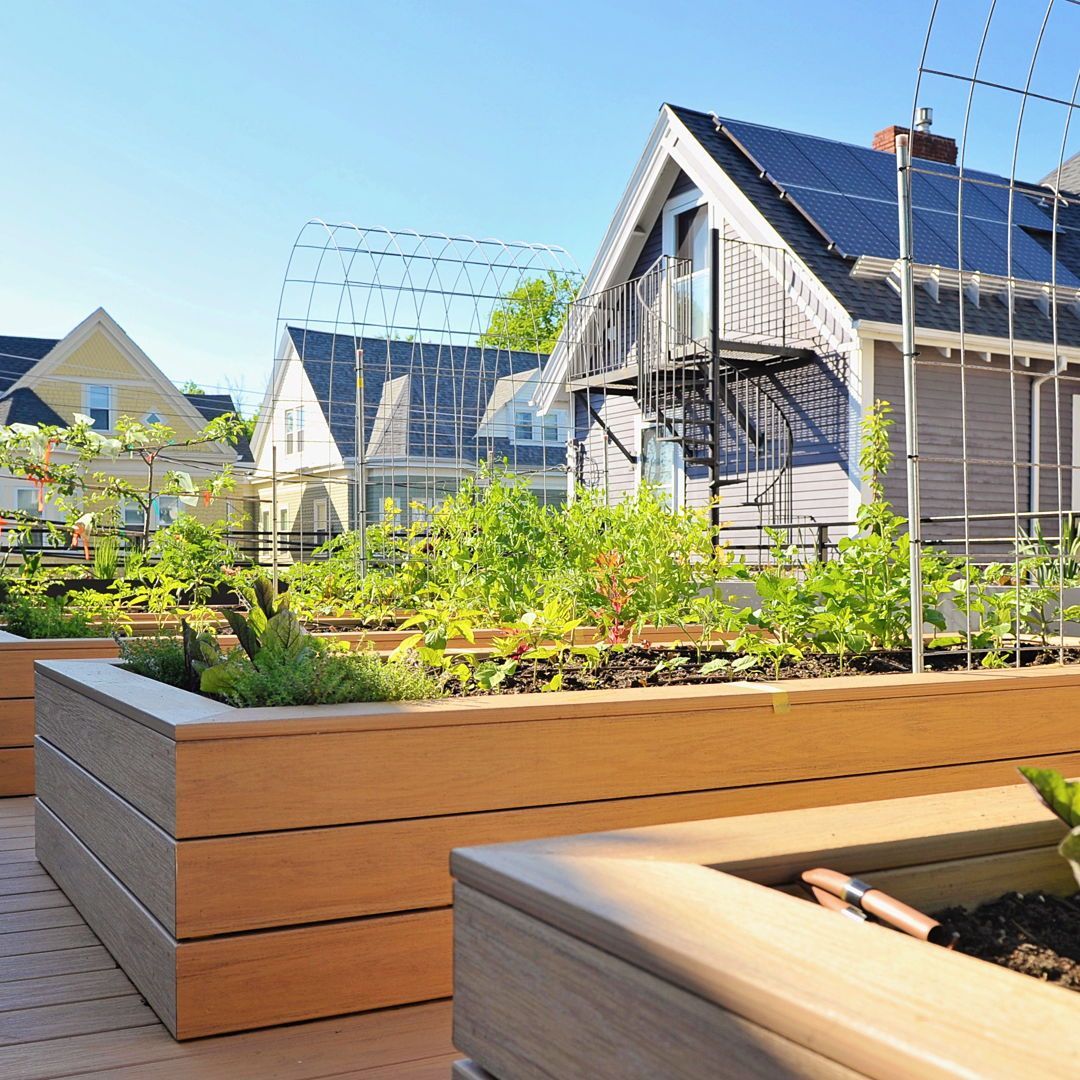 Recover Green Roofs tweet media