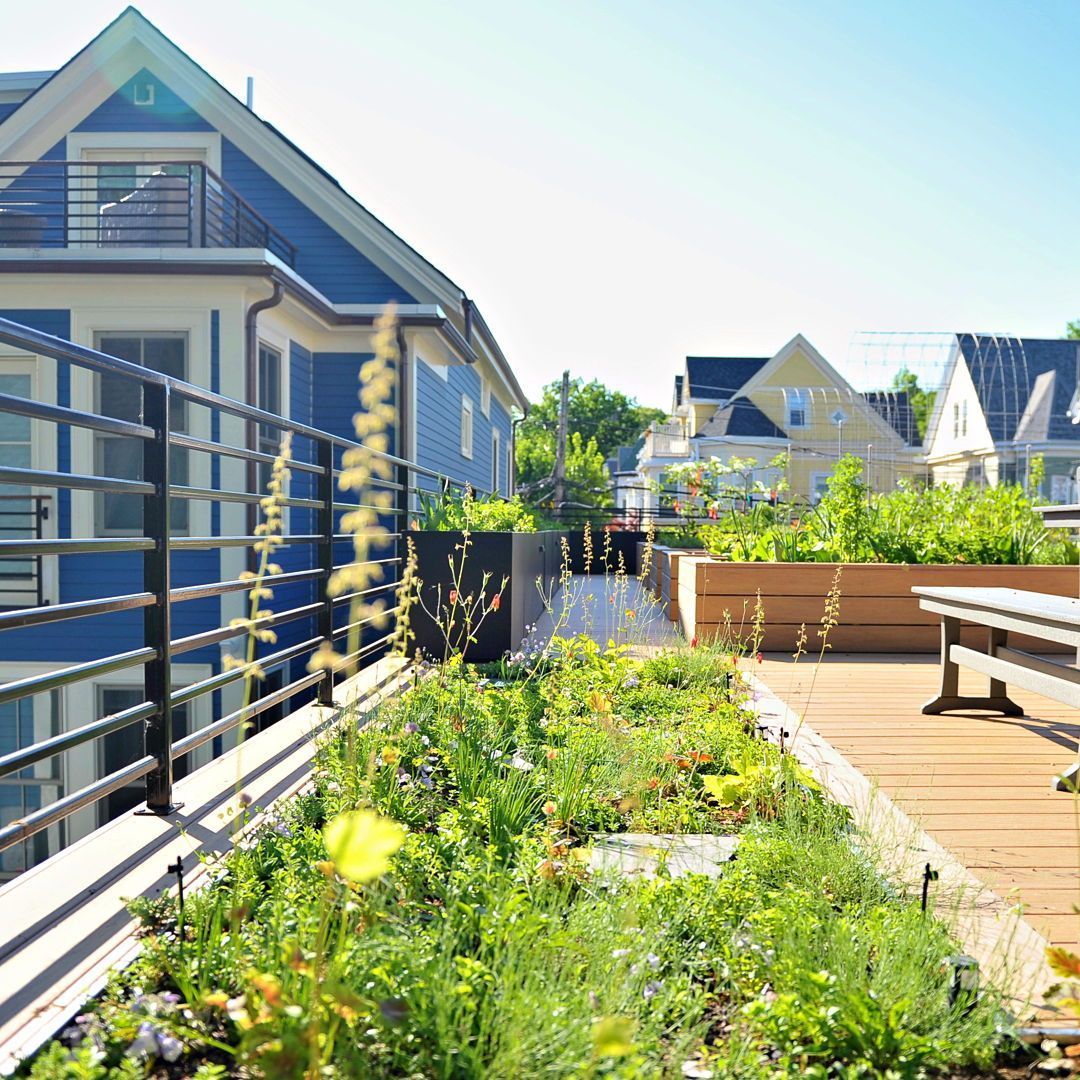 Recover Green Roofs tweet media