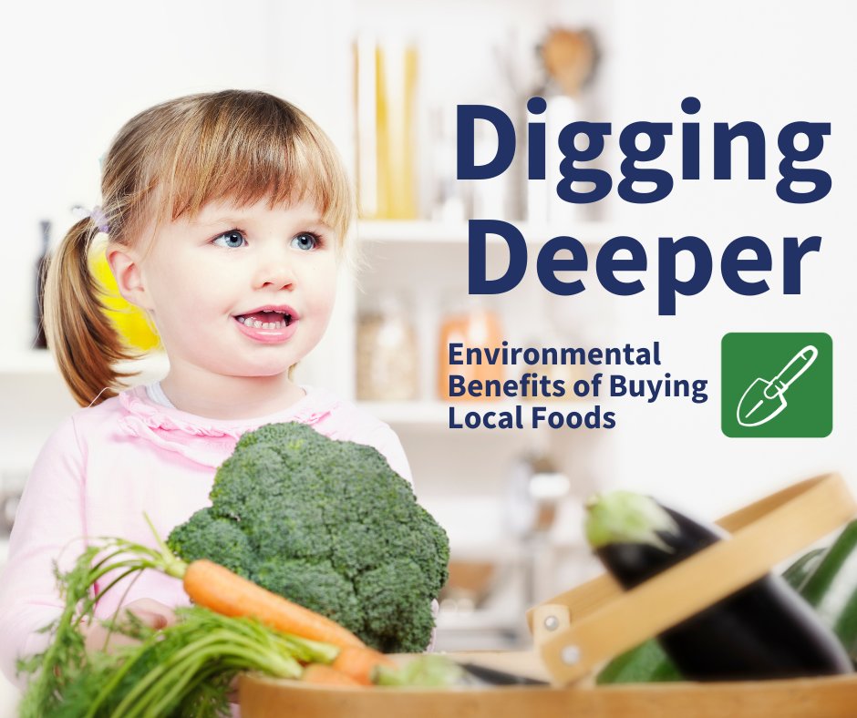 Did you know buying local foods supports sustainable, environmentally friendly practices? Learn about the environmental benefits of buying local foods and how ECE programs can purchase them: tinyurl.com/385nn494