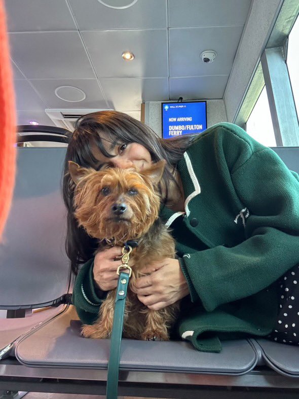 NYC Dog Mayor Campaign Spotlight: Tobi the Silky Terrier!

Location: Long Island City, Queens, NY

Slogan: No nonsense, Just Tobi! 

#dogmayornyc