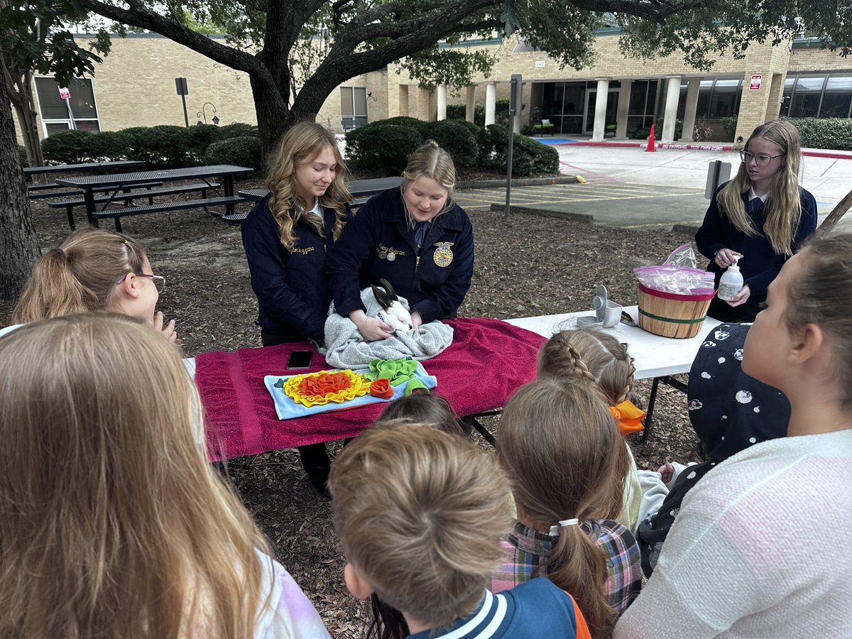 Stacy Seay tweet media