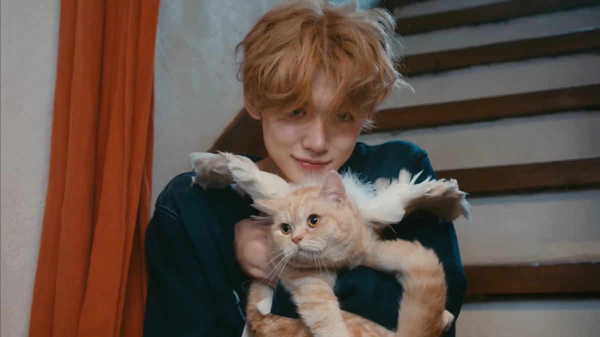 sillyjjuni's tweet photo. please always give yeonjun photoshoots with cats ohmygod these is the cutest thing ever 🐈💗 https://t.co/YtqvM195DE