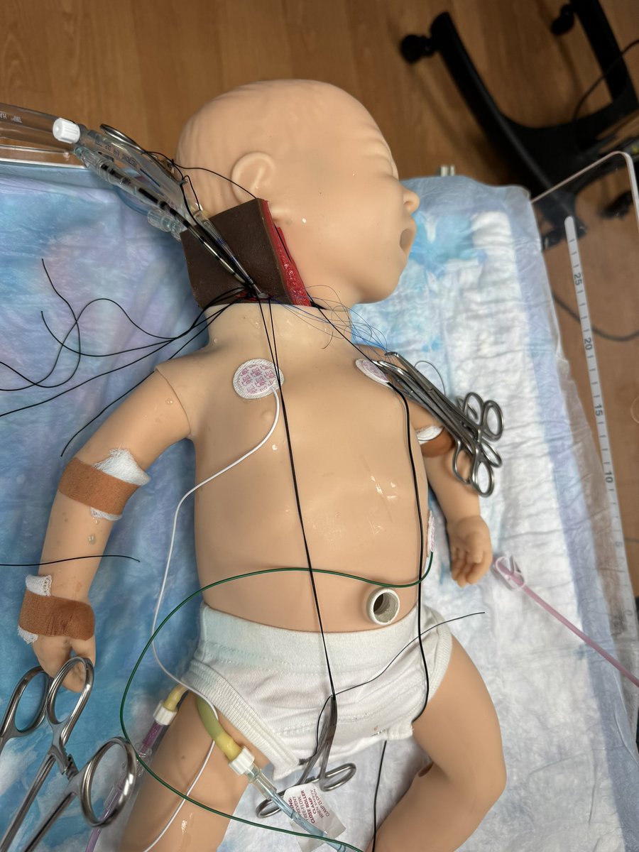 ECMO sim session at <a href="/chocchildrens/">CHOC</a> <a href="/ELSOOrg/">ELSO</a> center of excellence..