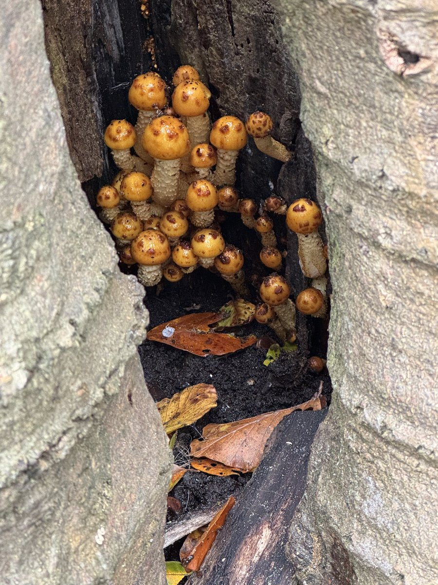 Mooie herfstdag vandaag!