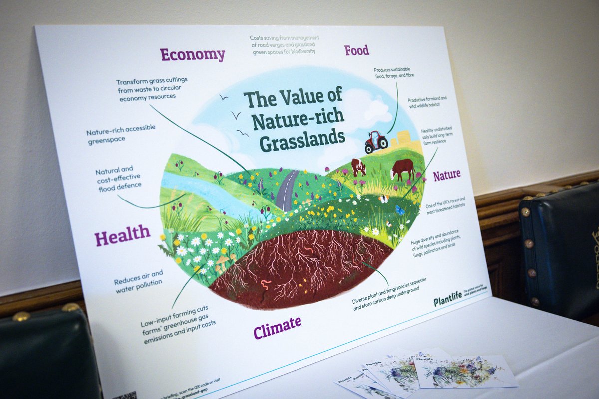 joriggall's tweet image. The value of nature-rich #grasslands is being heard!

@Love_plants held a Westminster Reception yesterday

We were delighted to showcase the beauty &amp;amp; benefits of pastures, meadows, road verges, parks &amp;amp; more 

Thank you to all our partners &amp;amp; others who joined 🌱