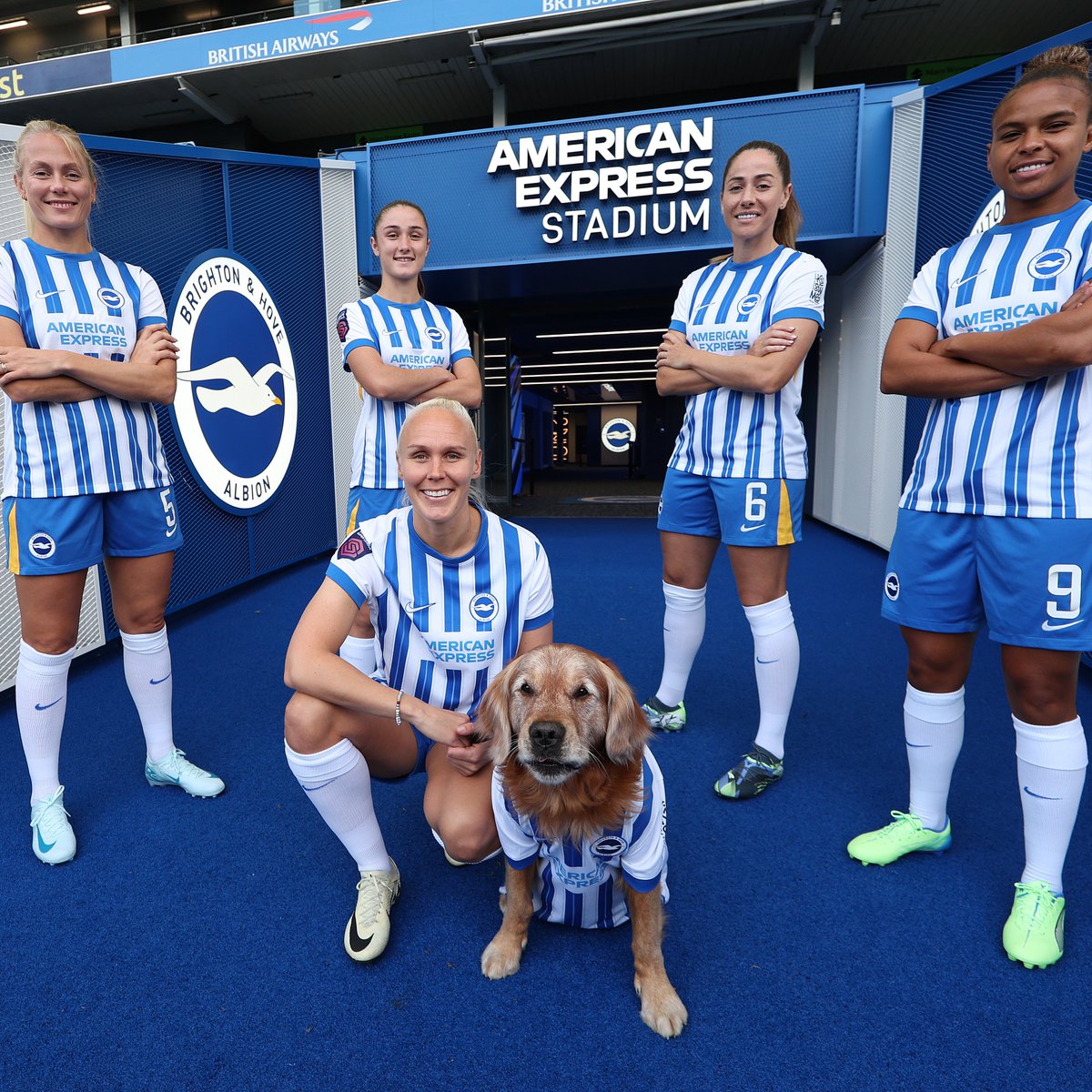 Brighton & Hove Albion Women tweet media