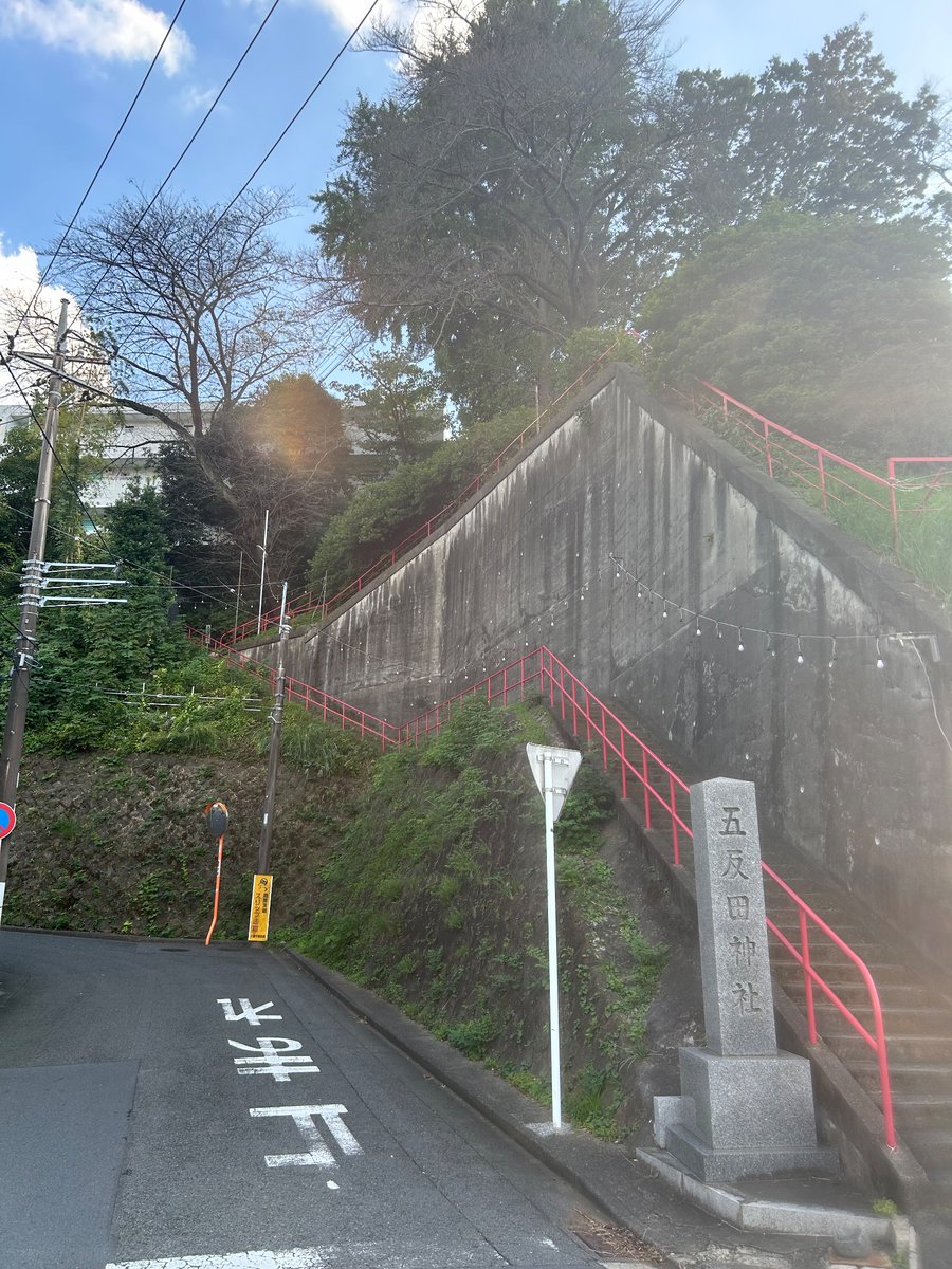denkei8518's tweet photo. N・H・Kにようこそ聖地巡り
秋晴れの爽やかな気候のもと、サントラ流してお喋りしながらお酒飲みながらとにかく坂を上っては下る。
佐藤くんが日曜夜ぼんやりしにいく公園のベンチ、今では作中のイメージとは異なるほど草木が鬱蒼と生い茂っていた。此処で人生最大レベルの蚊の大群から猛襲を受けた。 https://t.co/dtfyZYN1Yv