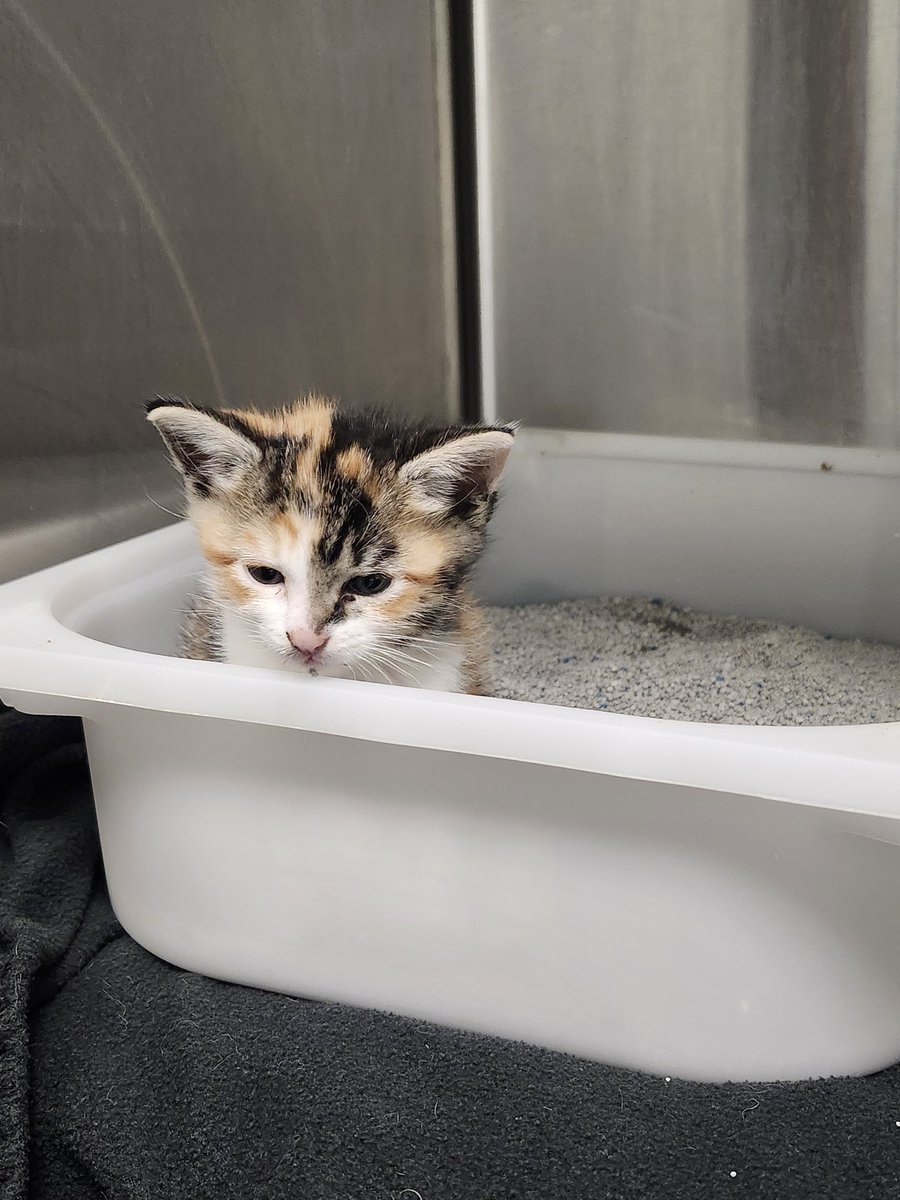 arsonist895's tweet image. What a week am I right?!?!