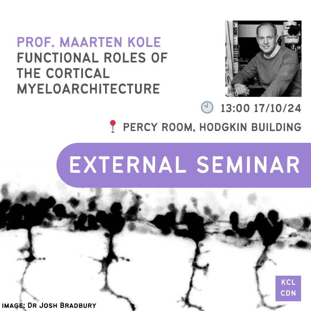 CDN | King's College (@dev_neuro) on Twitter photo This week we welcome Professor Maarten Kole <a href="/Herseninstituut/">Herseninstituut</a> to continue our External Seminar series, hosted by <a href="/jbneuro/">Juan Burrone Lab</a>
“Functional roles of the cortical myeloarchitecture”
🗓️ 1pm, Thursday 17th October
📍 Percy Room, Gordon Museum, Hodgkin Building This week we welcome Professor Maarten Kole <a href="/Herseninstituut/">Herseninstituut</a> to continue our External Seminar series, hosted by <a href="/jbneuro/">Juan Burrone Lab</a>
“Functional roles of the cortical myeloarchitecture”
🗓️ 1pm, Thursday 17th October
📍 Percy Room, Gordon Museum, Hodgkin Building
