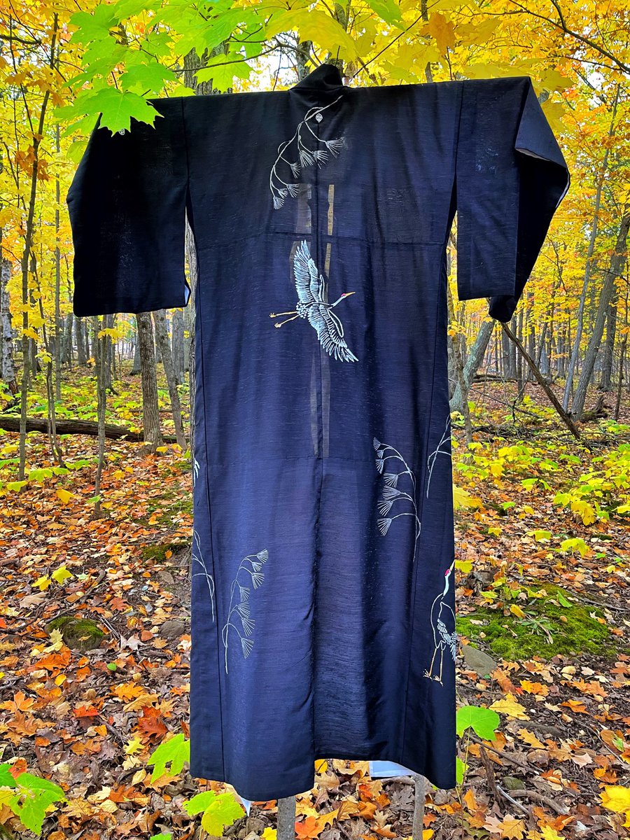 clarecooley's tweet photo. Taking the Crane Kimono up to Hawk Ridge to fly😍👘 https://t.co/IpU53DGhXT