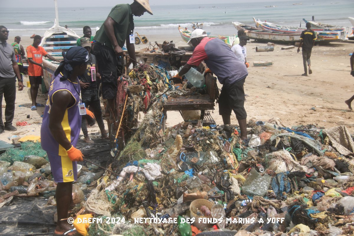 dgefm0's tweet photo. 2e Journée de Nettoyage des Fonds Marins à Yoff : Quelques illustrations des activités de nettoyage et de triage des déchets https://t.co/wINc5IUW9Q