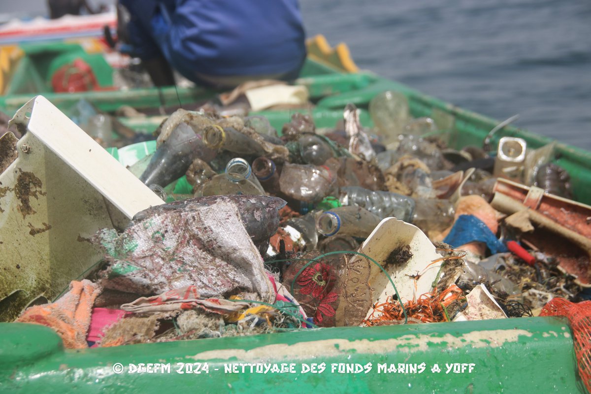 dgefm0's tweet photo. 2e Journée de Nettoyage des Fonds Marins à Yoff : Quelques illustrations des activités de nettoyage et de triage des déchets https://t.co/wINc5IUW9Q