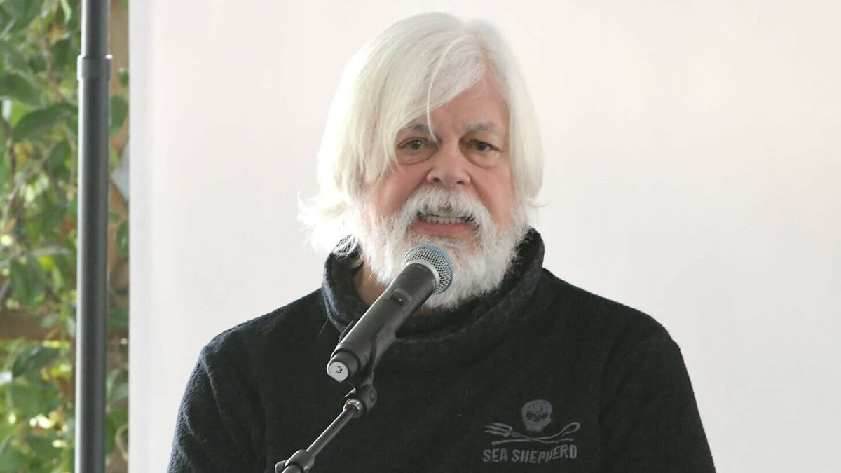 BFMTV's tweet photo. 🔴 ALERTE INFO
L'écologiste Paul Watson a demandé l'asile politique en France à Emmanuel Macron
https://t.co/aQxU2eWK9q https://t.co/LyttBOmqmI