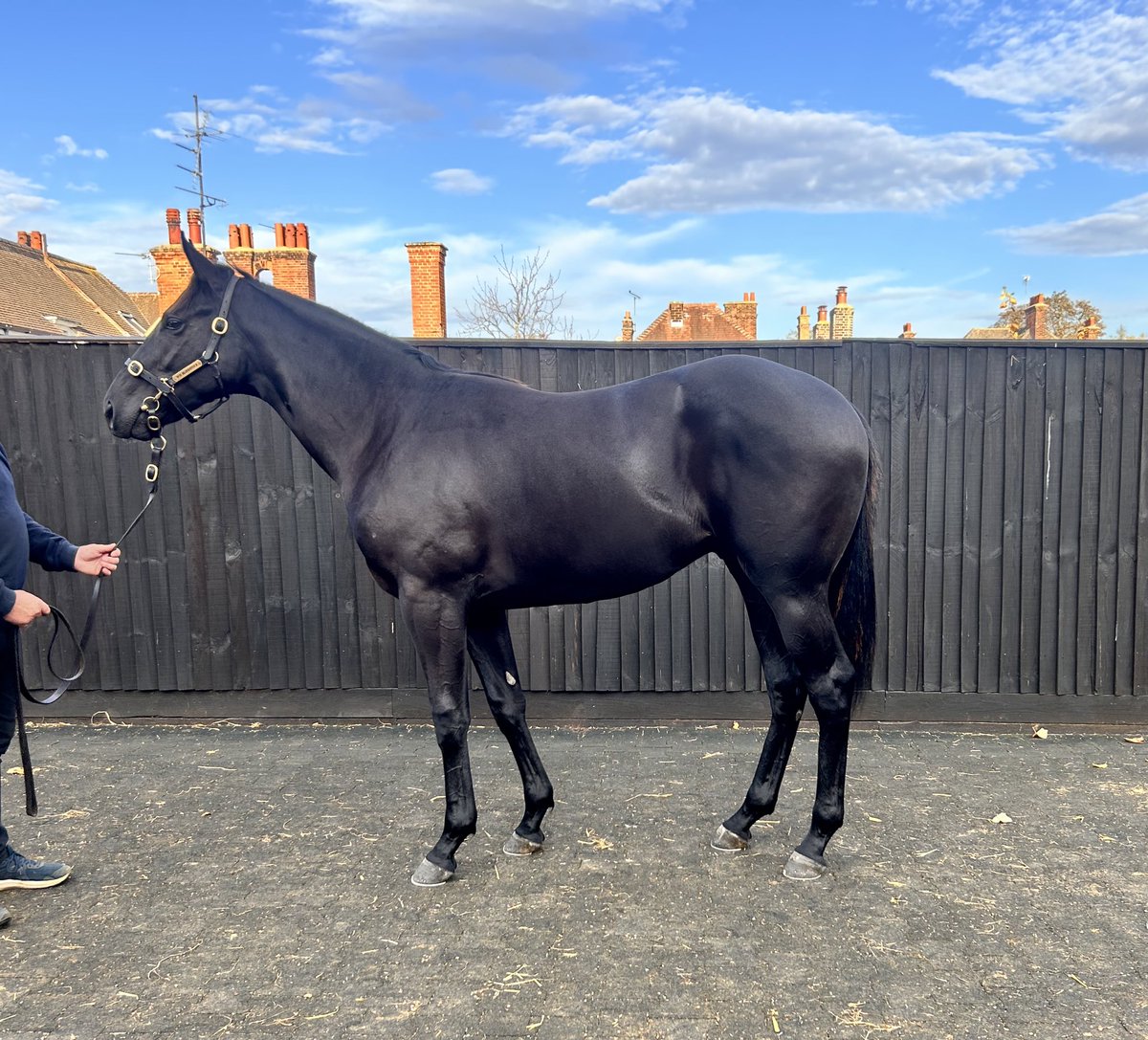 Violet Hesketh tweet media