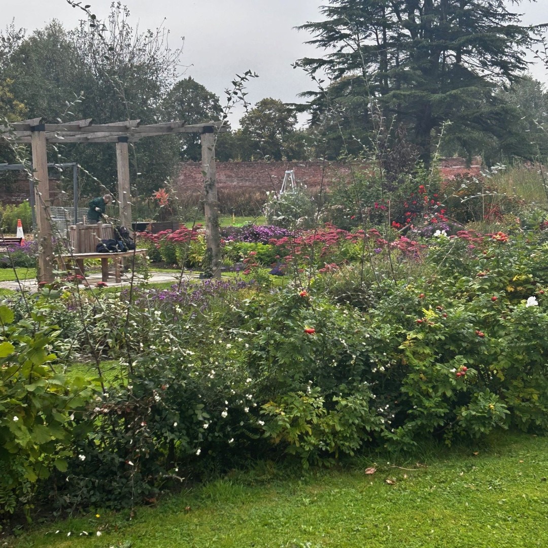 Portland College tweet media