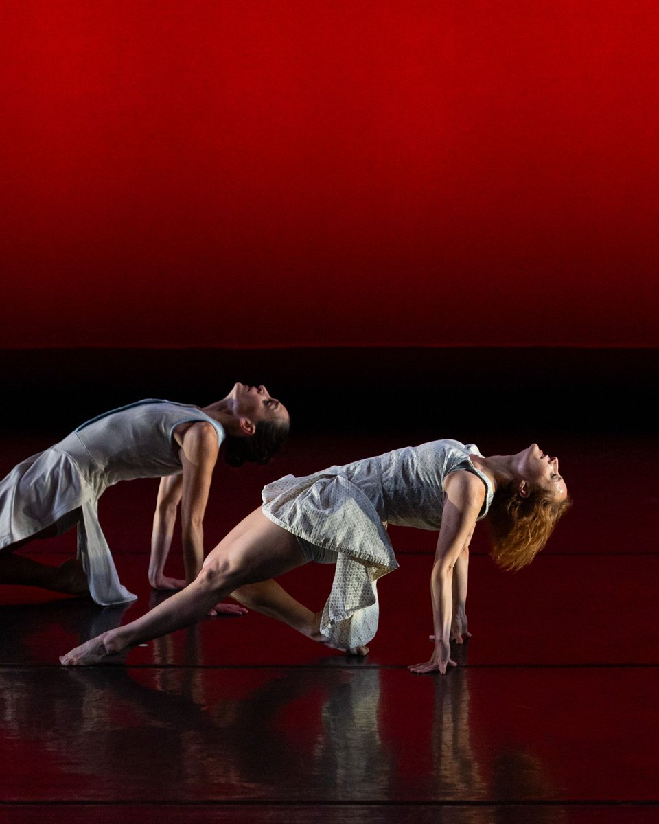 Mark Morris Dance Group tweet media