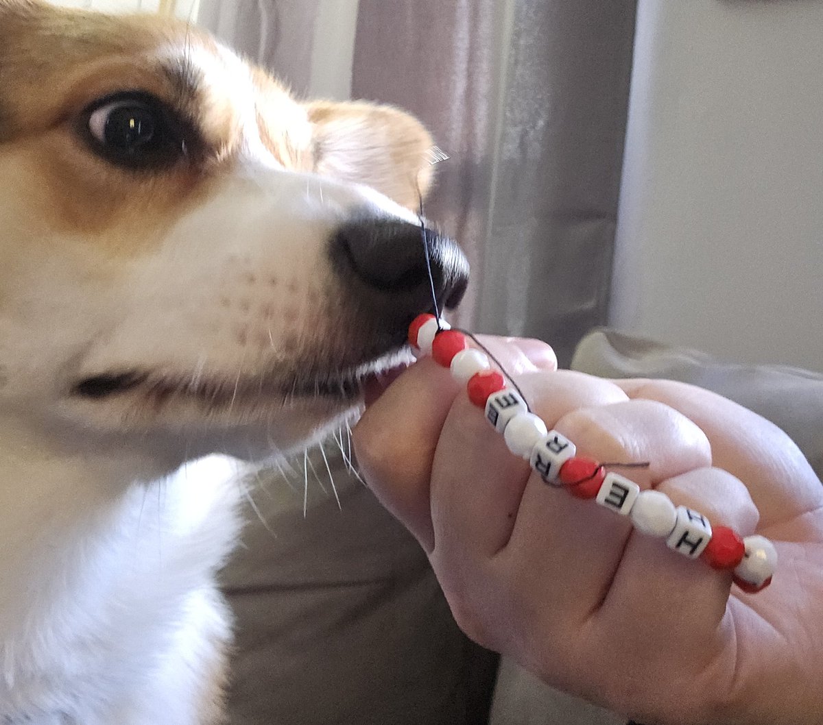 Stand Atlantic Street Team tweet media