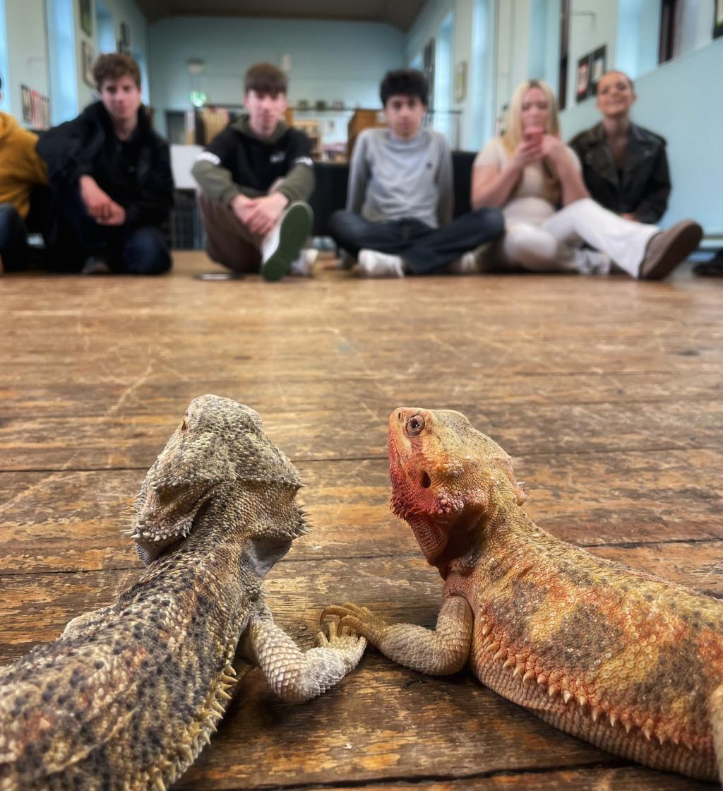 TY had a few unusual visitors today…reptiles got all the attention in class. A big thanks to Dino experience reptile haven for a great workshop!