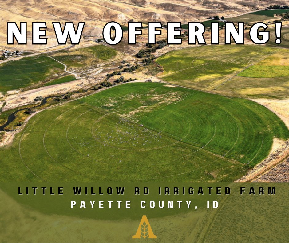 agtradegroup's tweet photo. This Idaho irrigated farm asset is approximately 63 miles northwest of Boise. A new owner could utilize this irrigated farm asset to raise livestock, convert the grass stand to a wide variety of row crops or a combination of the two.

Visit our website ➡️ https://t.co/2rsj5MqGFn https://t.co/rTqmH09HH3