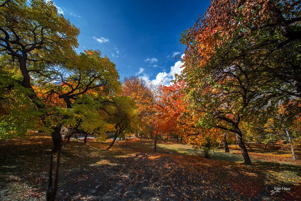 yasirnisar's tweet photo. Royal Garden, Hunza is one of the best places to experience Autumn colours. 

#autumn #Pakistan #gilgitBaltistan https://t.co/16YAGMTIiG