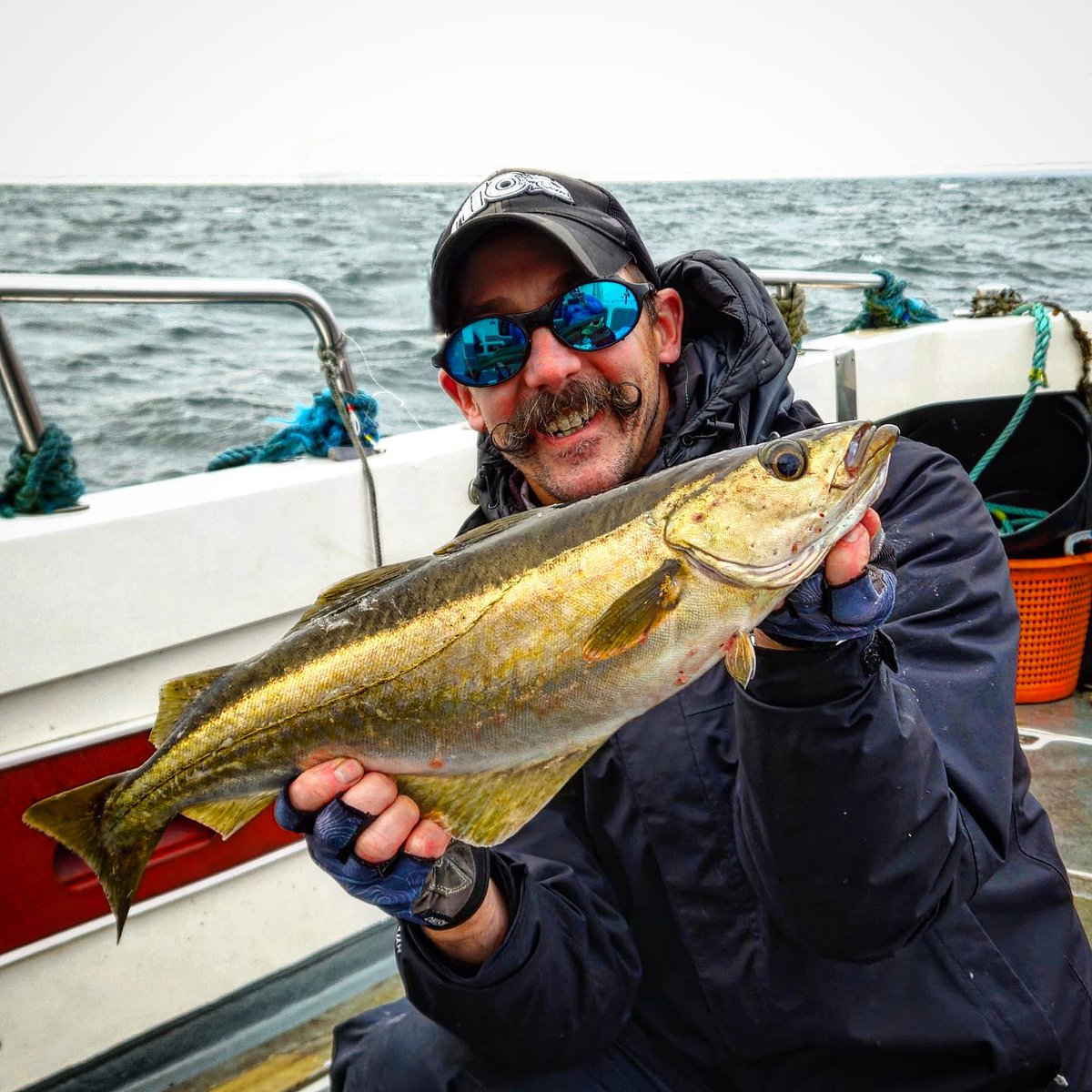 Aries_Angler's tweet image. Arbroath pollock. #angus #arbroath #ultimatepredator #inchcapemarine