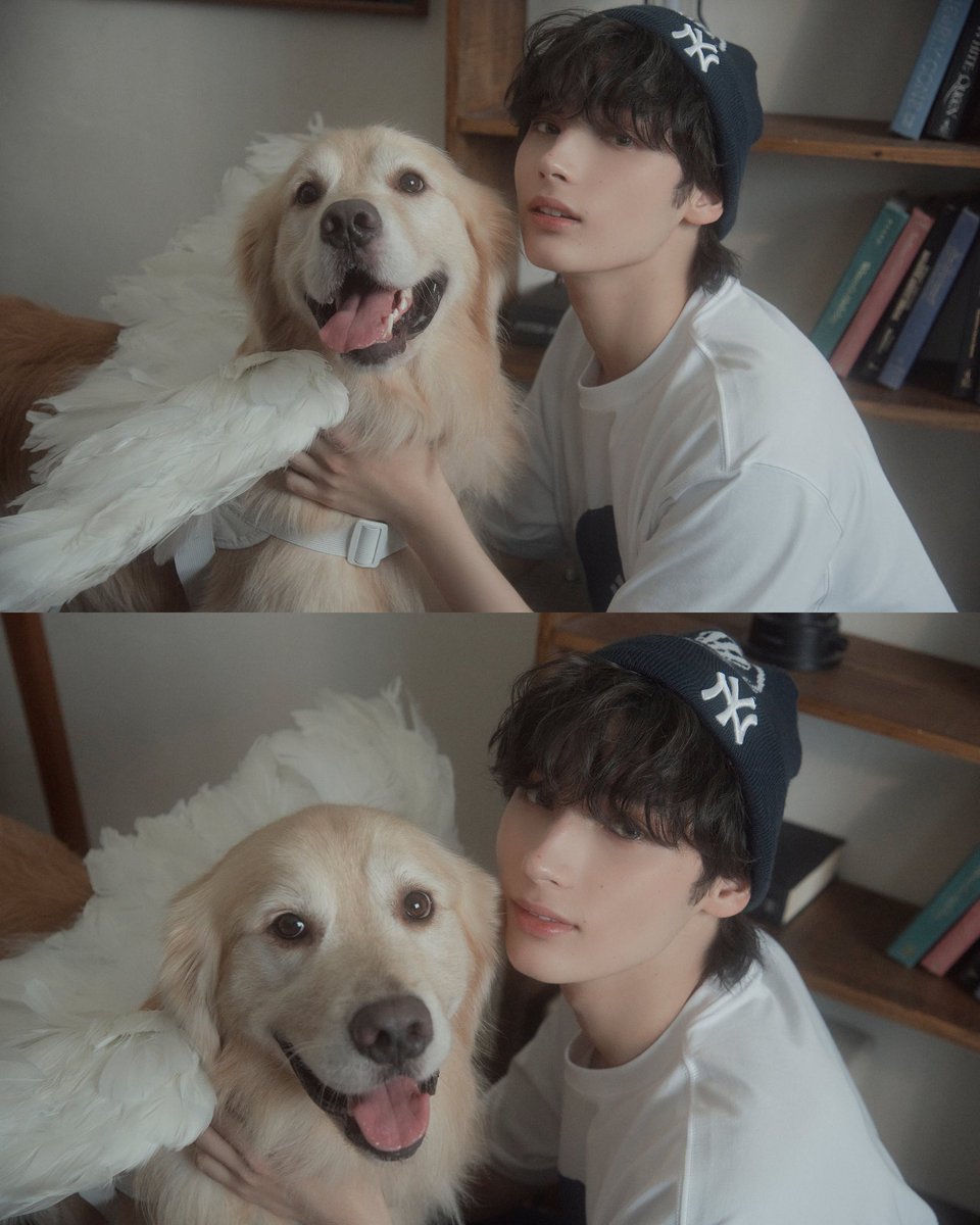 wannyantxt's tweet photo. 存在だけで世界を救える犬と、銀河を救えるヒュニンカイのコラボにより、この惑星の平和は保たれるのであった___________ https://t.co/YXd6sgH16X