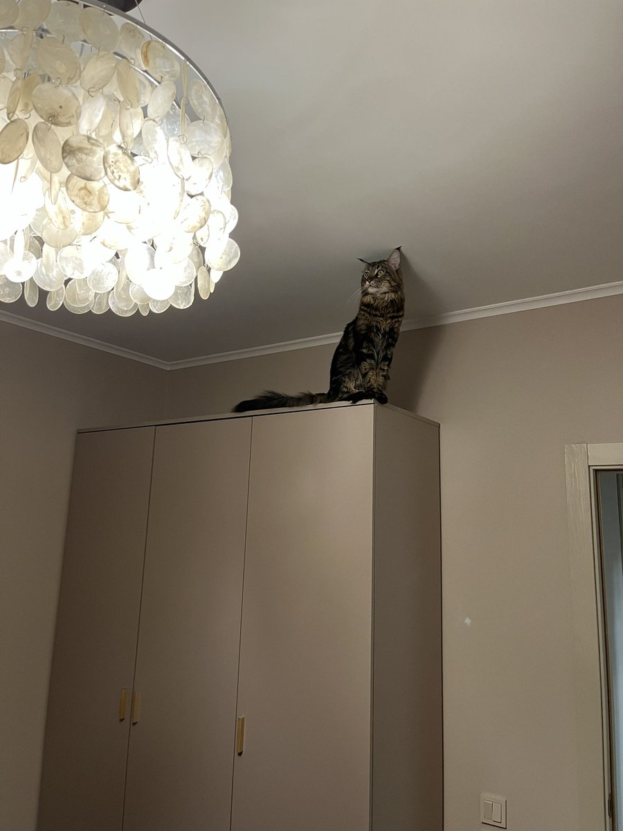 Это нормально вообще?