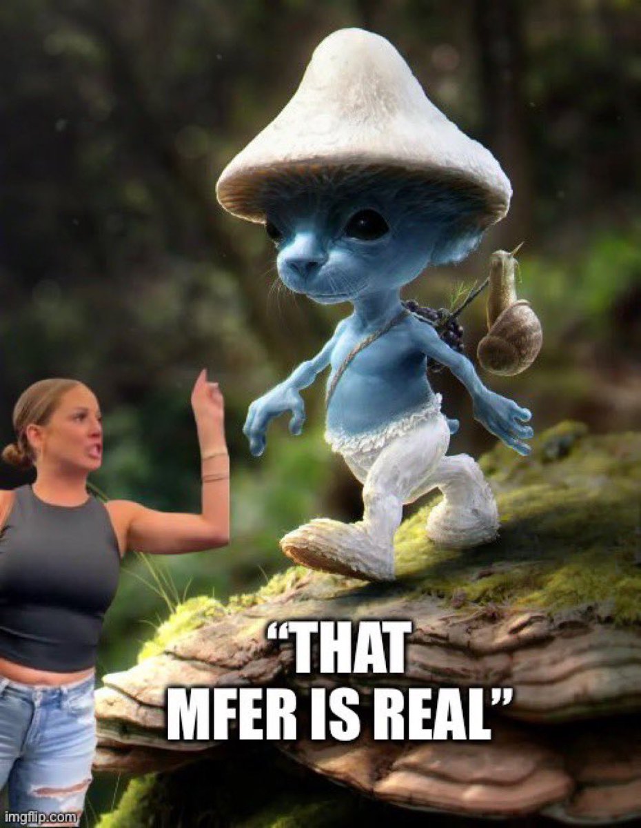 joot (meme/acc) tweet media