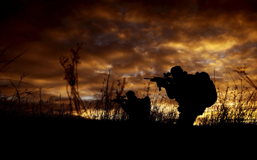 Finally, Vol 65(2) ends with a note by Shayla Birath on how ECOWAS’s repeated use of force in the region, coupled with both state silence and explicit endorsement, develops jus ad bellum for the rest of the international legal order.

Link here: tinyurl.com/eda25fff